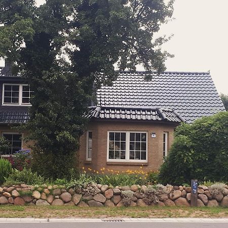 Ferienwohnung Hinz - Gemuetliche Unterkunft Fuer 2 Personen Mit Modernem Bad Ellingstedt Zewnętrze zdjęcie